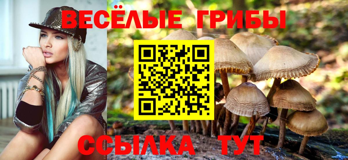 Галлюциногенные грибы Magic Shrooms  Галлюциногенные грибы Psilocybine cubensis  Вход с VPN  Ревда 